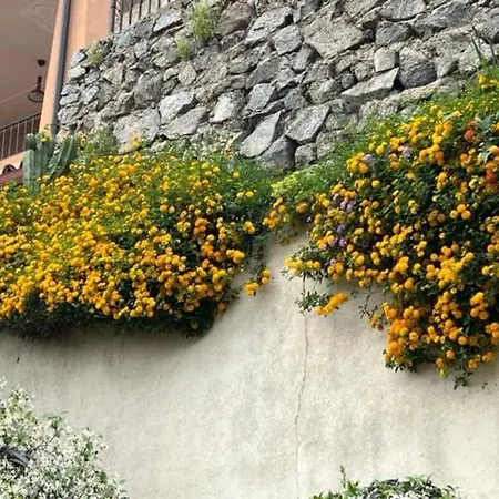 Residenza A 150 Metri Dalla Scogliera Di Pietragrande - Montauro *